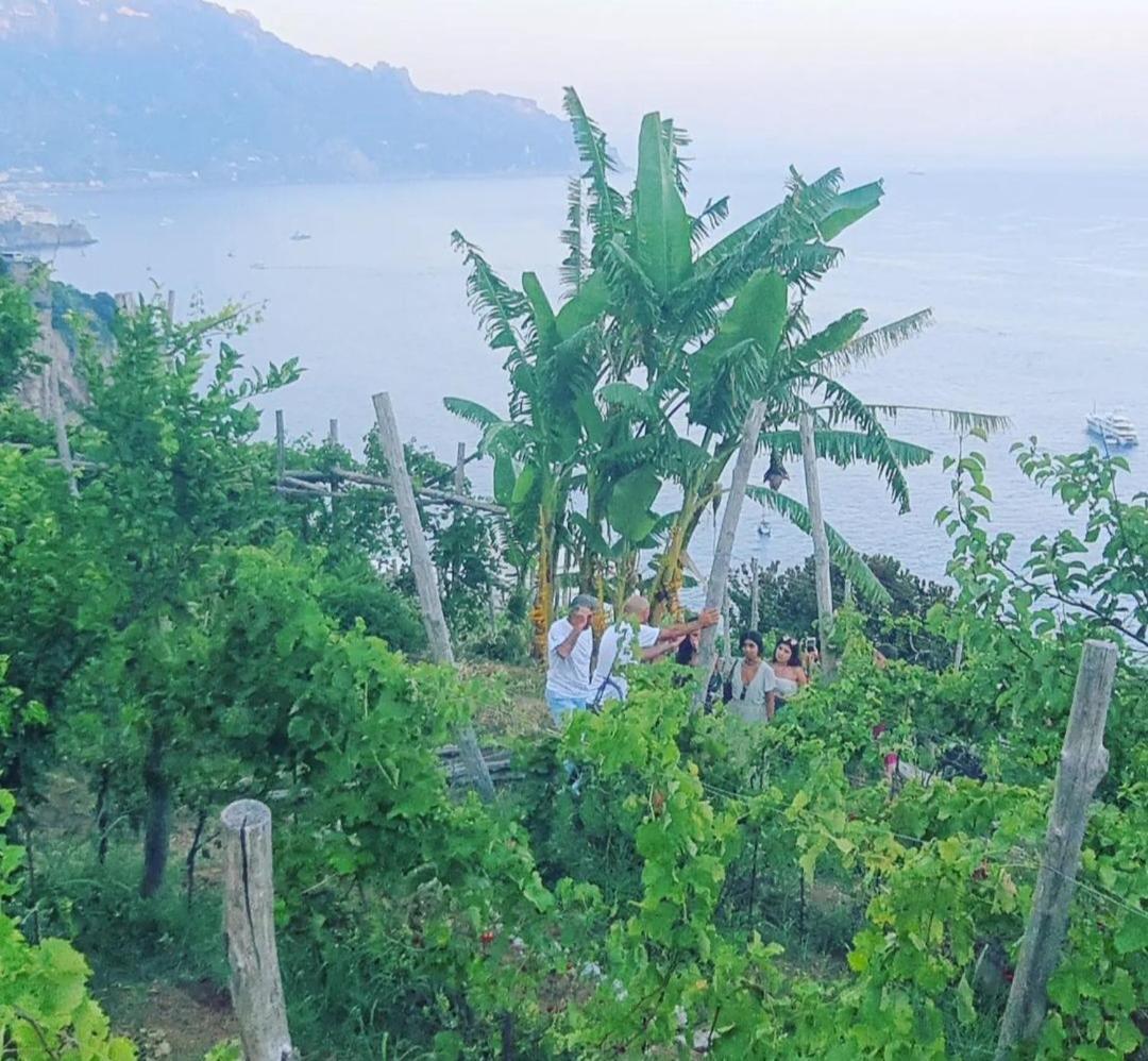 Agriturismo Fuoco D'Amalfi Villa Iazzetta Exterior foto